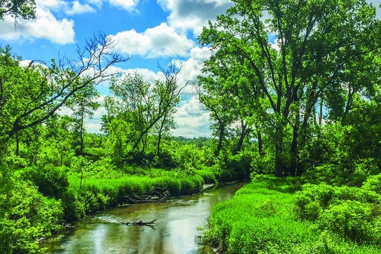 Belleville, WI Homes for Sale and Realtors