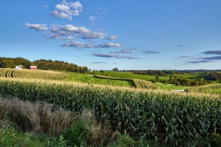 Black Earth, WI Homes for Sale and Realtors